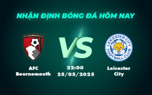 afc bournemouth leicester city 25 05 ngoai hang anh