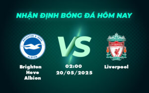 brighton hove albion liverpool 20 05 ngoai hang anh