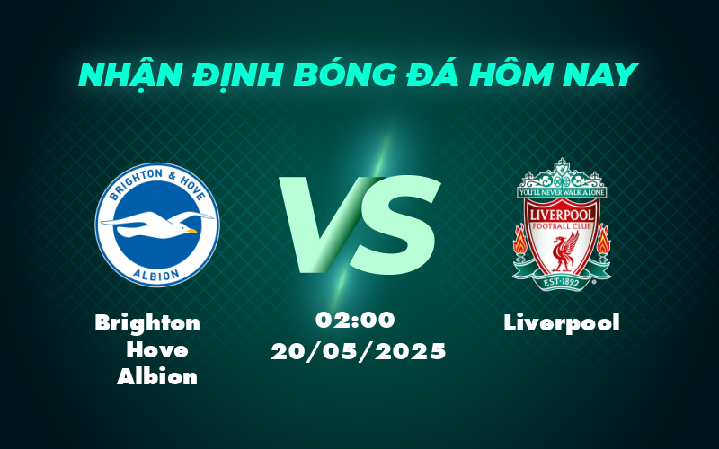 brighton hove albion liverpool 20 05 ngoai hang anh
