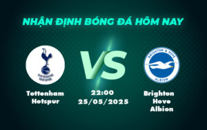 tottenham hotspur brighton hove albion 25 05 ngoai hang anh