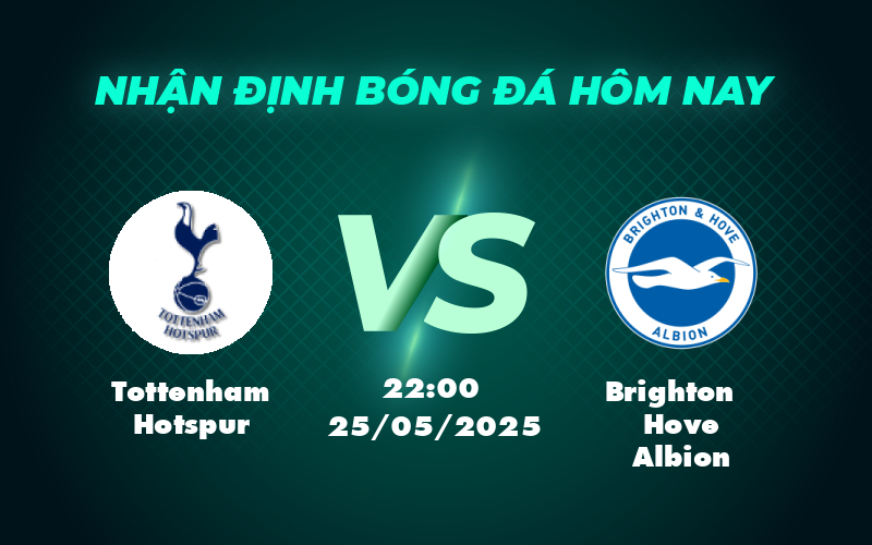 tottenham hotspur brighton hove albion 25 05 ngoai hang anh